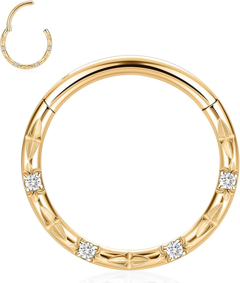 FUNLMO Store 316L Surgical Steel Septum Ring Nose Ring Hoop Hypoallergenic Daith Cartilage Conch Tragus Rook Earlobe Piercing Jewerly for Women Men - Image 1